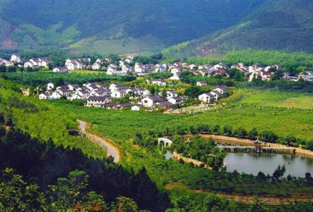 旺山生态园-微网