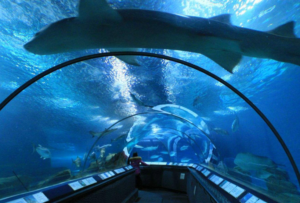 上海海洋水族馆